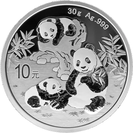 Strieborná minca Panda 2026, 30&nbsp;g